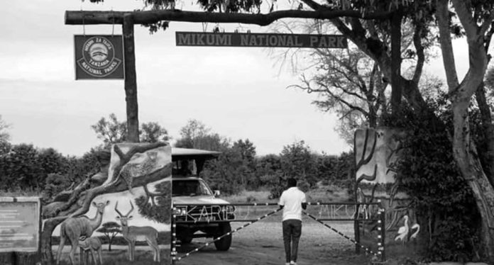 Discover the Untamed Beauty of Mikumi National Park - Tanzania's Hidden Safari Gem