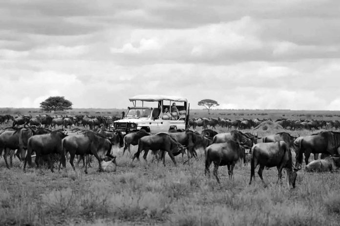 Exploring the Serengeti with Abercrombie and Kent - An In-Depth Review of Tanzania's Finest Safari Experience