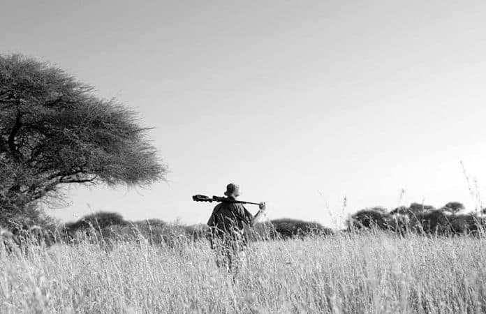 From Budget to Luxury - Decoding Tanzania Hunting Safari Prices and Finding the Perfect Package for Your Adventure