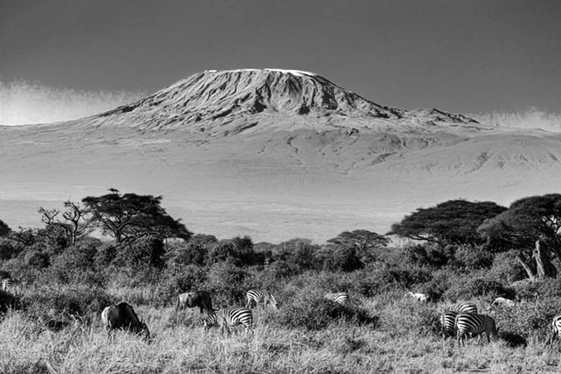 Mount Kilimanjaro