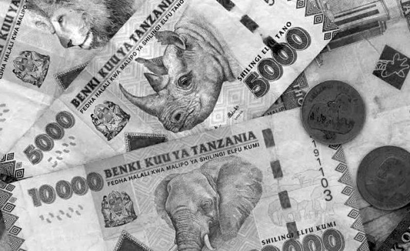 Tanzania Money