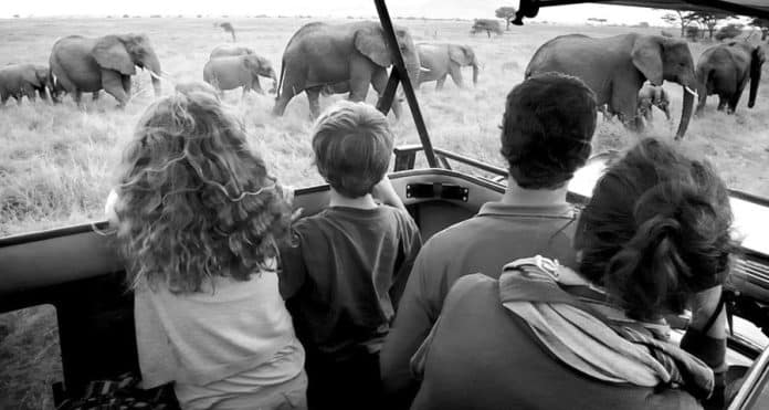The Ultimate Guide to Planning the Best Family Safari in Tanzania