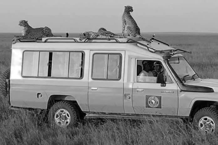 TripAdvisor's Top-Rated Safari Crew in Tanzania - Your Gateway to Adventure