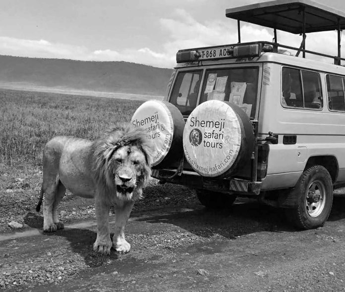 Unveiling the Hidden Gems - Shemeji Safari Tanzania Reviews That Will Ignite Your Wanderlust