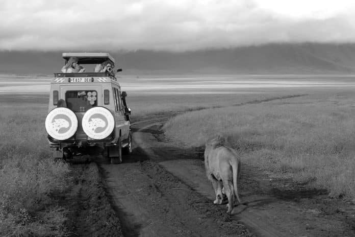 Unveiling the Untold Stories - Soul of Tanzania Safari Reviews