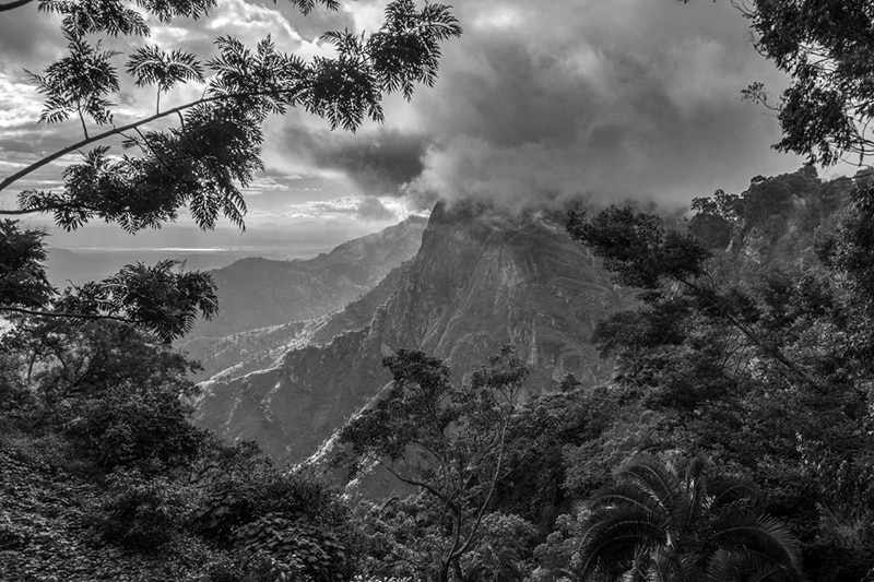 Usambara Mountains