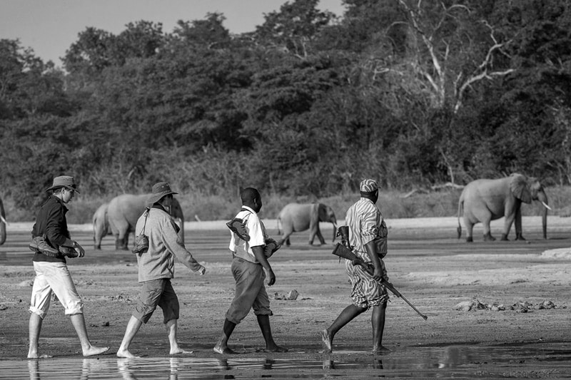 Walking Safari in Tanzania
