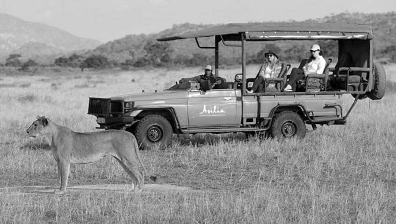 Asilia Africa truck with tourists viewing a lion