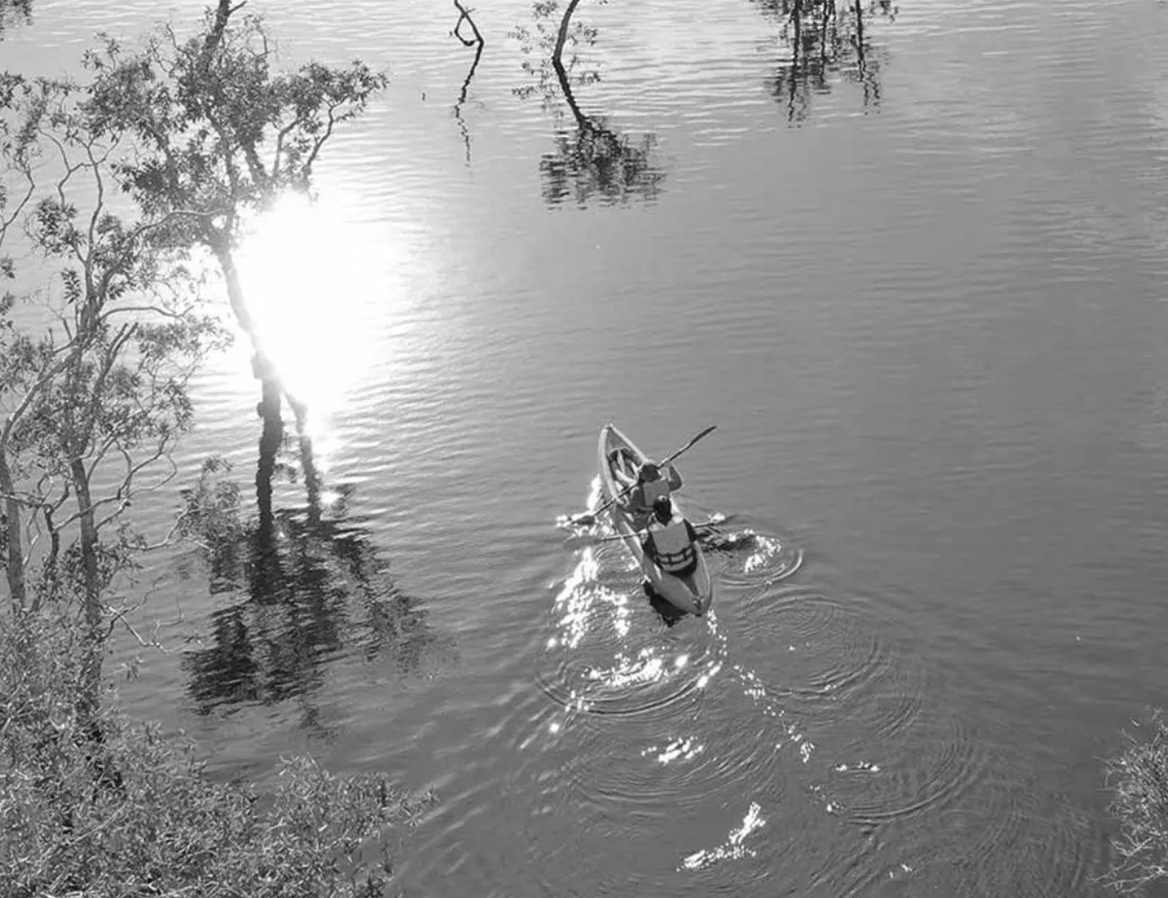 Canoeing Through Mangroves on Mafia Island