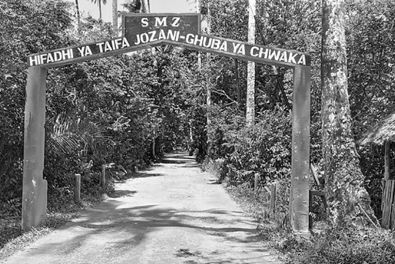 Entrance to Jozani Forest