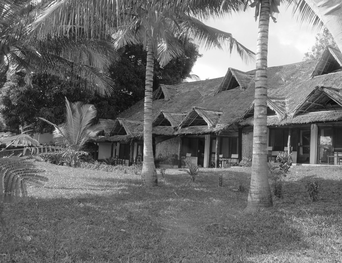 Nature Scenery at Mafia Island Lodge