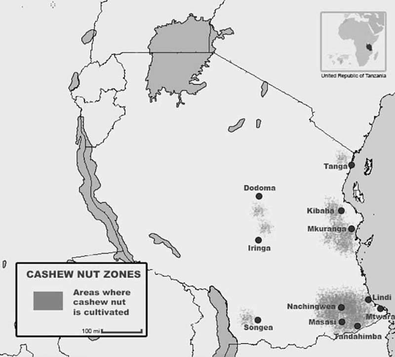 Regions producing cashewnuts in Tanzania