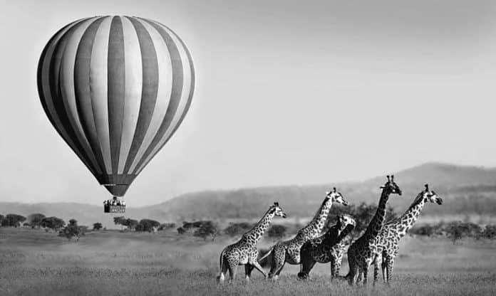 Soaring Above the Serengeti - Unlocking the Hot Air Balloon Experience in Tanzania
