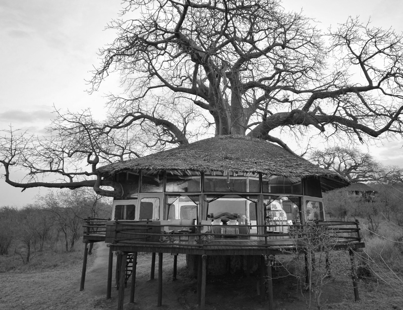 Unique Accommodations at Kilimanjaro Tree House Lodge