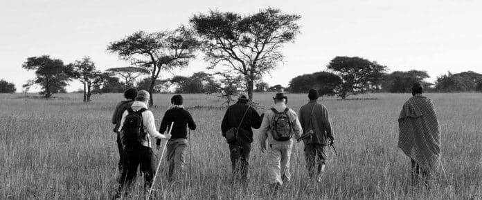 Unlocking the Secrets of Safari - A Comprehensive Guide to Safari Guide Training in Tanzania