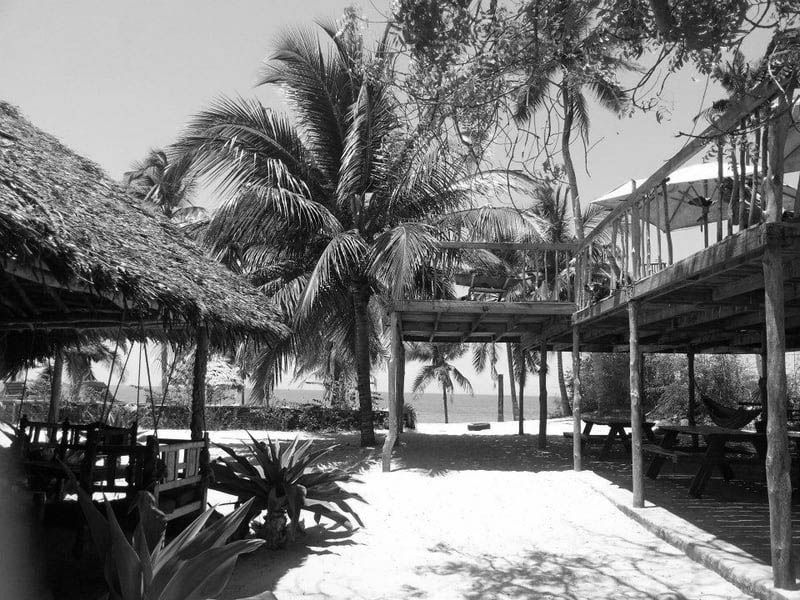 Beautiful Palm Trees and Beach at Bagamoyo Beach Resort