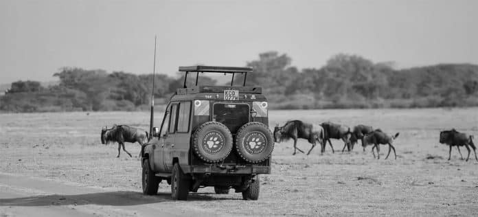 Discover the Ultimate Safari Adventure - Kenya and Tanzania Escorted Tours