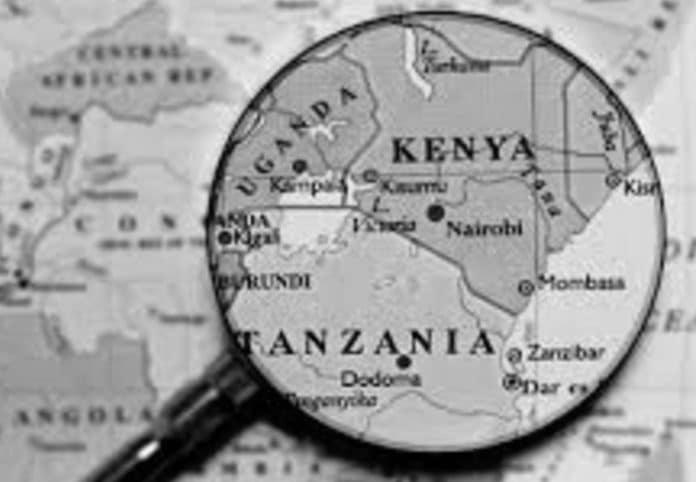 Essential Travel Requirements for a Seamless Journey from Kenya to Tanzania