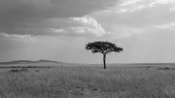 Exploring the Breathtaking Landscapes of the Kenya Tanzania Uganda Union