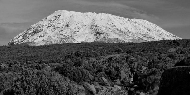 Foothills of Mount Kilimanjaro