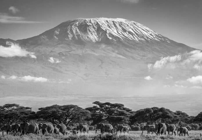 From the Big Five to Mount Kilimanjaro Your Complete Travel Itinerary for Kenya and Tanzania
