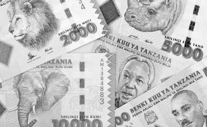 Navigating Currency in East Africa Everything You Need to Know about Tanzania and Zanzibar’s Currencies