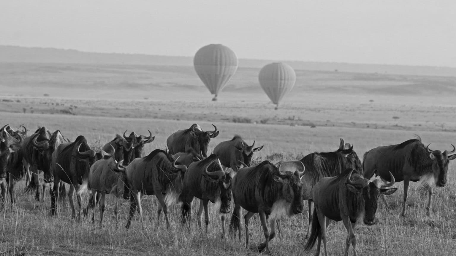 Serengeti-Balloon-Safari-and Beyond-Experience