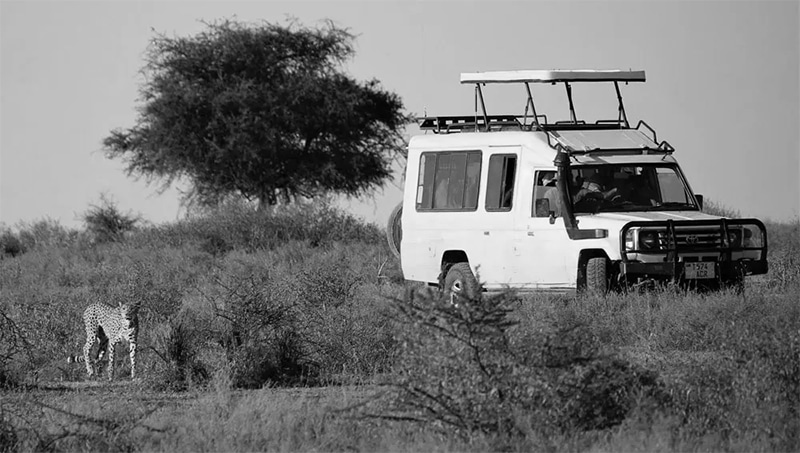 Serengeti safari tour