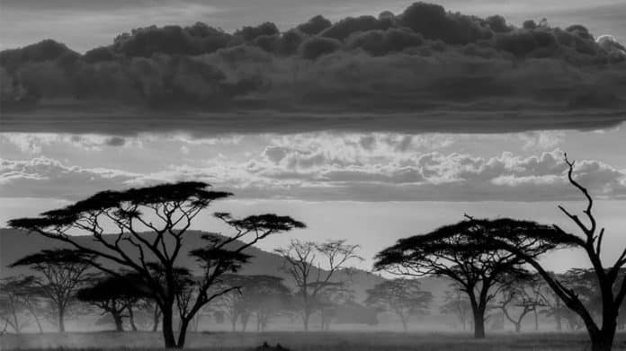 Serenity Amidst Wildlife: Ensuring a Secure Journey through Kenya and Tanzania's Breathtaking Landscapes