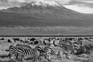 Kilimanjaro National Park