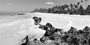 Matemwe’s Beaches Coral Reefs