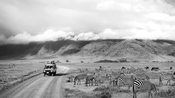 Unlock Your Wanderlust: Essential Tips for Traveling to Kenya and Tanzania Amidst Restrictions