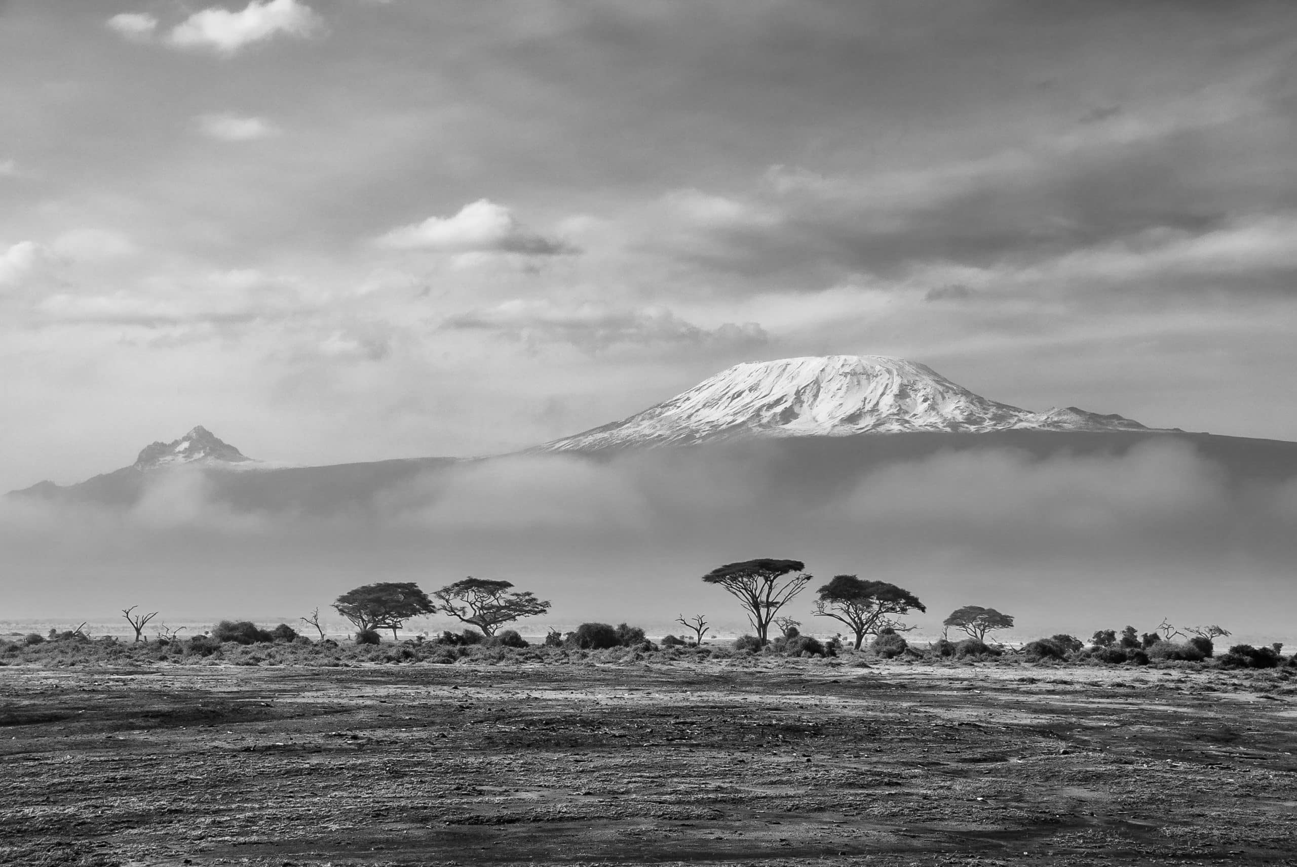 mount Kilimanjaro view