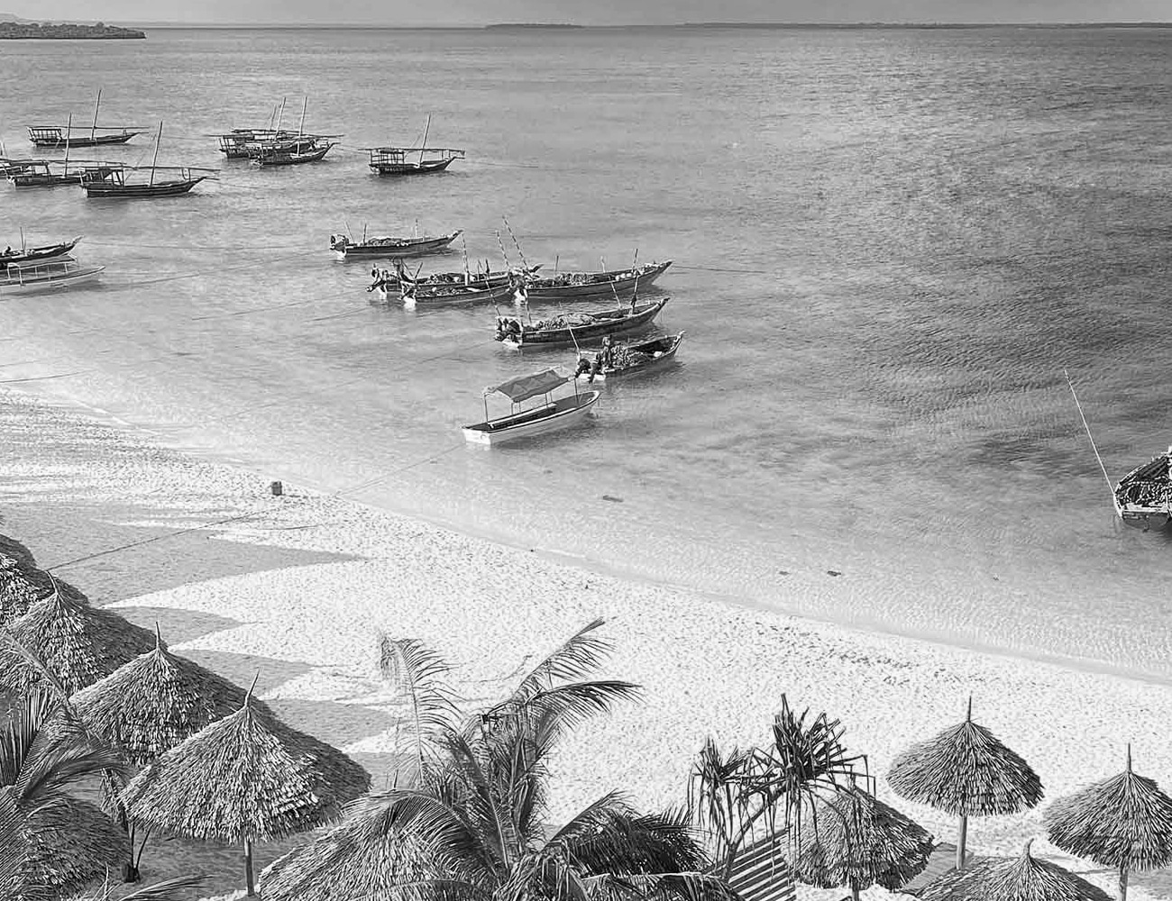 A Coastal Paradise in Zanzibar