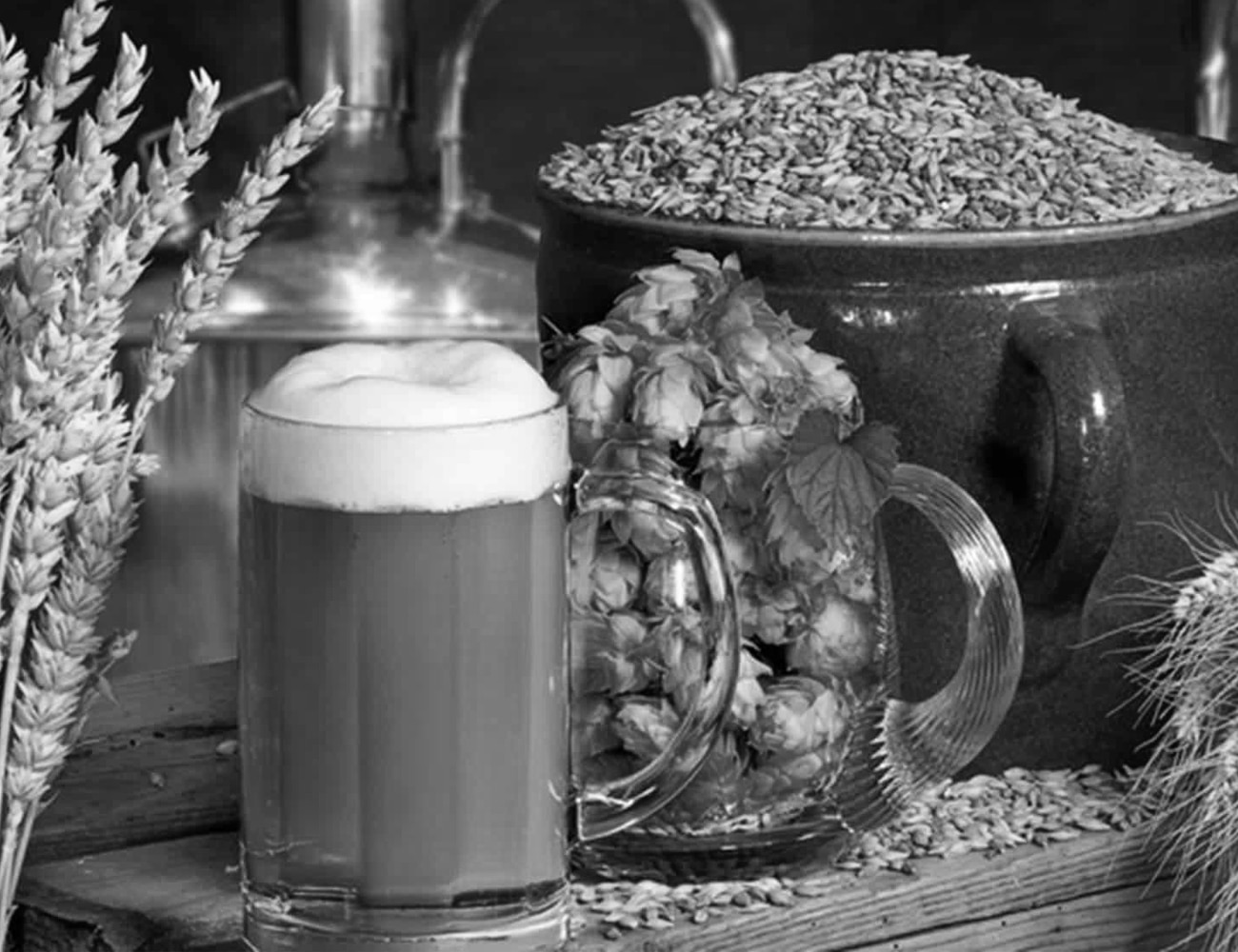 A Cup of Beer, Barley and Malt