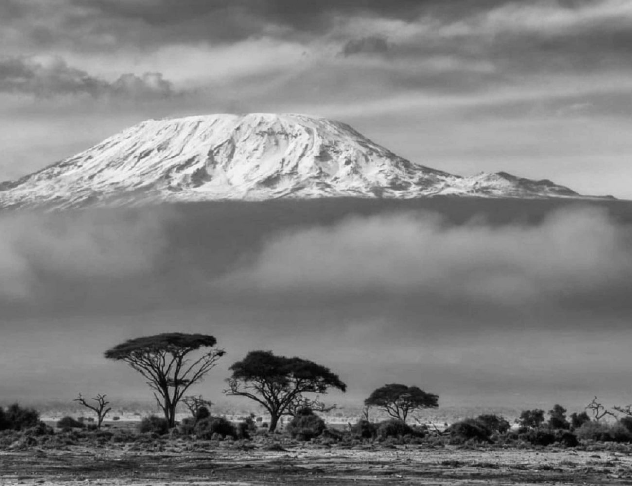 A View of Africa's Highest Peak