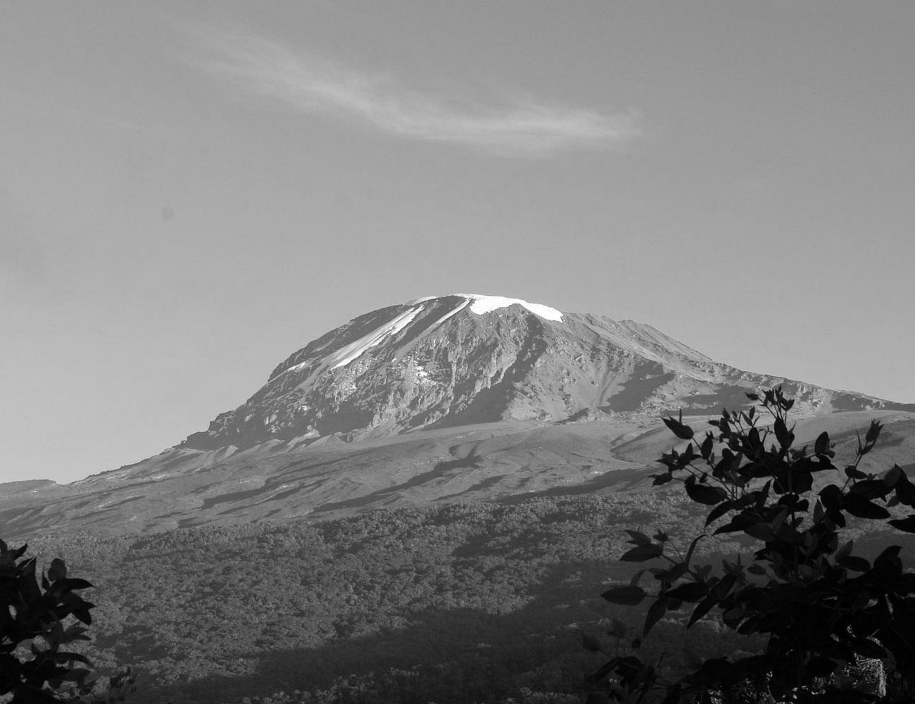 A View of Mount Kilimanjaro