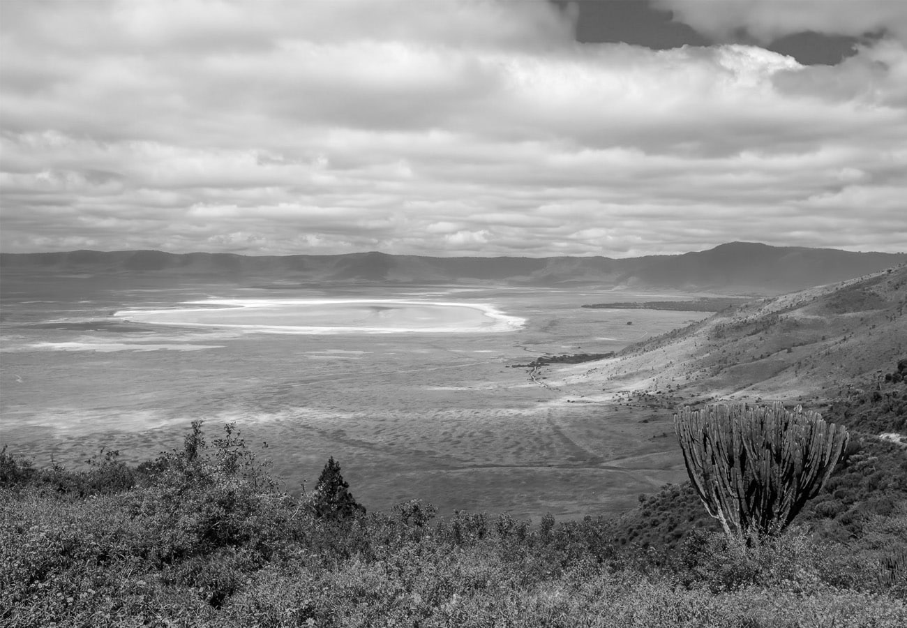 A view of the Ngorongoro Crater