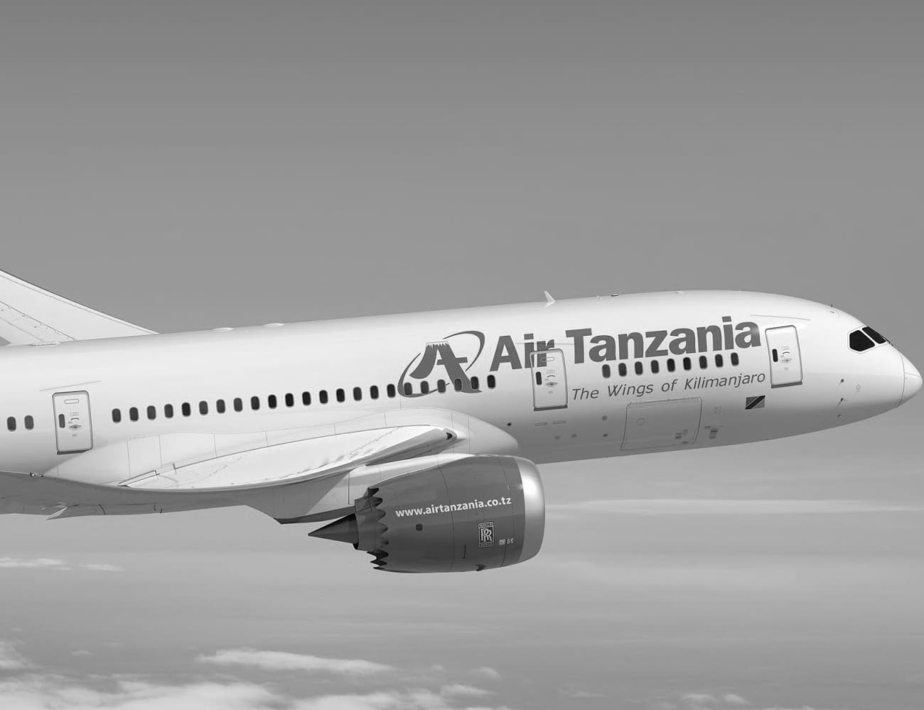 Air Tanzania Flight