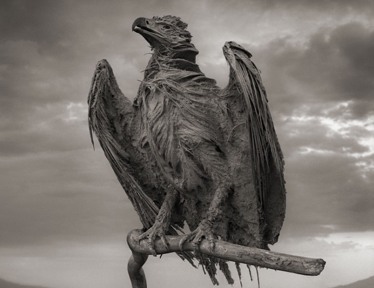 Animals Turned to Statues at Lake Natron