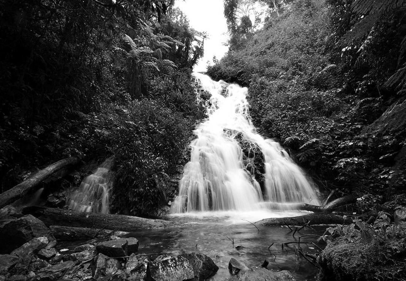 Beautiful Water Fall Bwindi Impenetrable Forest
