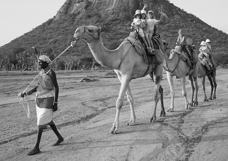 Camel Safaris in Kenya