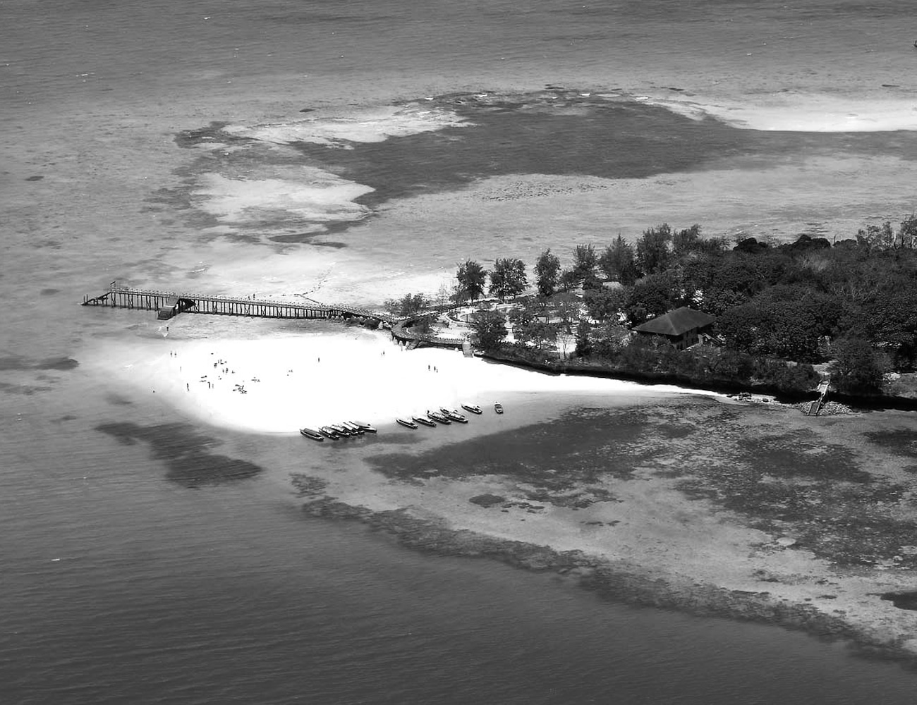 Changuu Island in Zanzibar