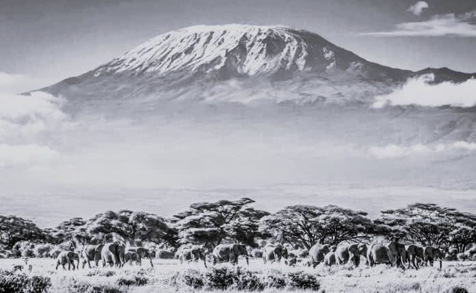 Decoding the Mystery Is Mount Kilimanjaro in Kenya or Tanzania