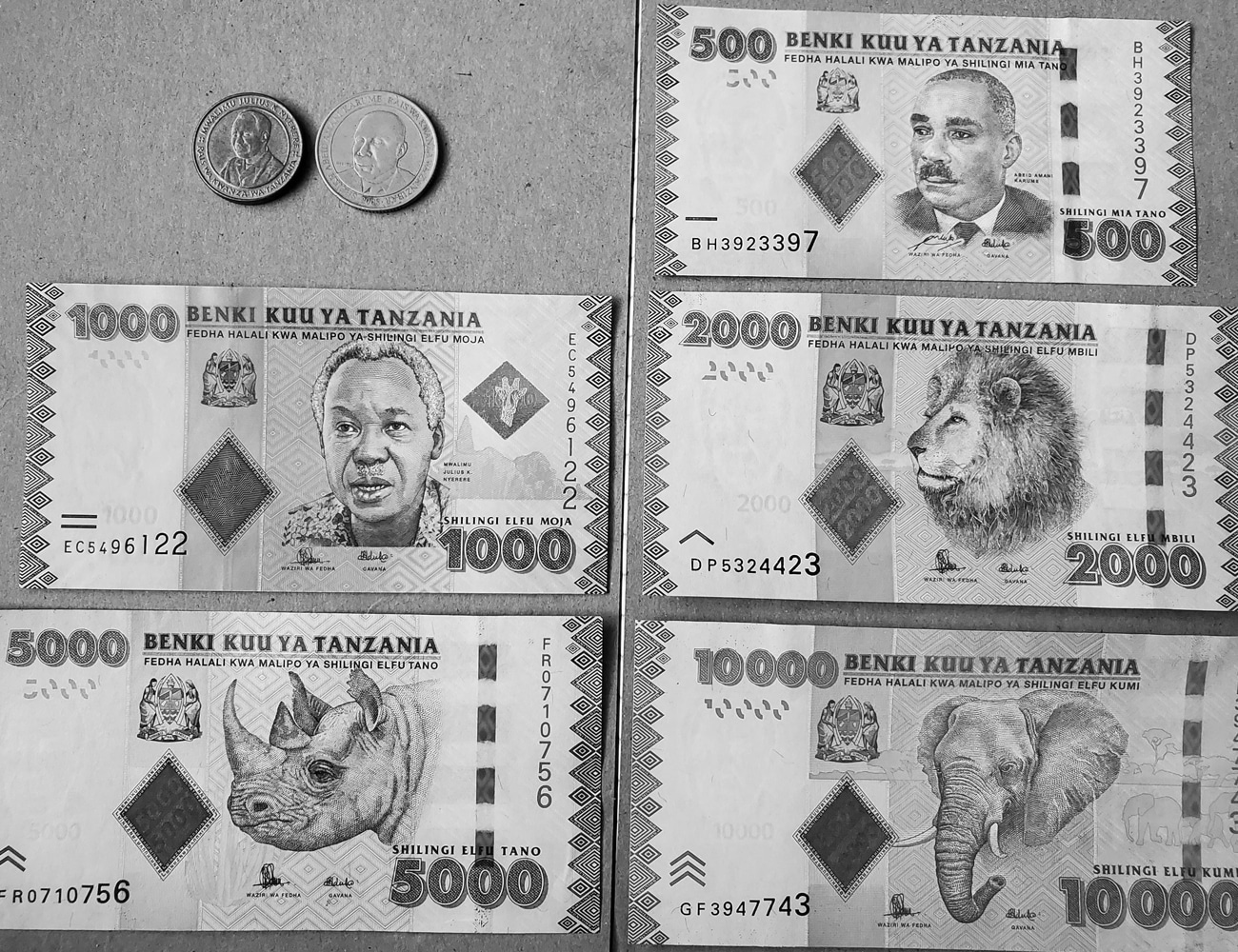 Different Amount of Tanzanian Shillings