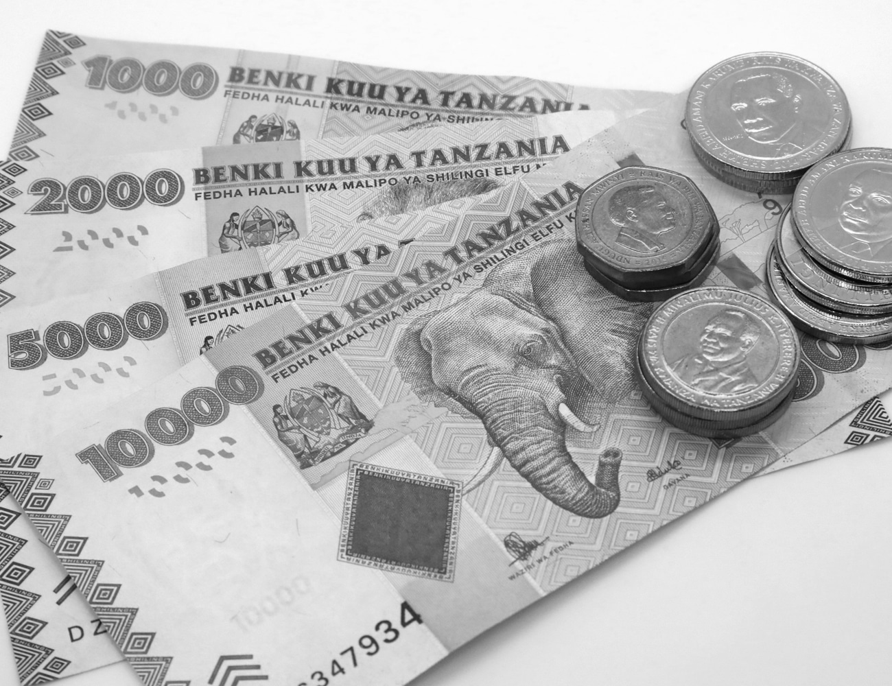 Different Notes of Tanzanian Shillings