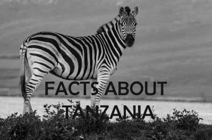 Discover the Wonders of Tanzania, Africa - ‍7 Interesting Facts You Never Knew