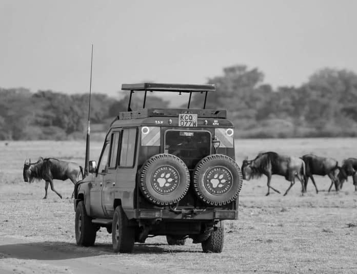 Embark on a Safari Adventure Tanzania's National Parks and Wildlife Conservation in Africa