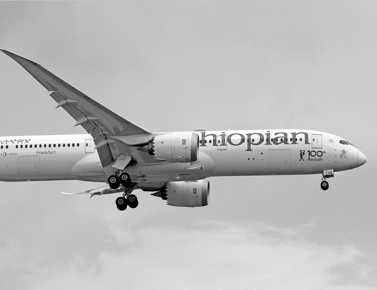 Ethiopian Flight
