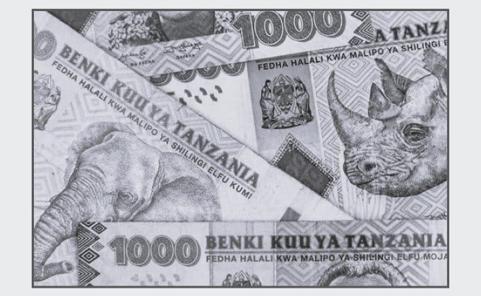 Exploring the Tanzanian Shilling An In-depth Look at East Africa’s Currency